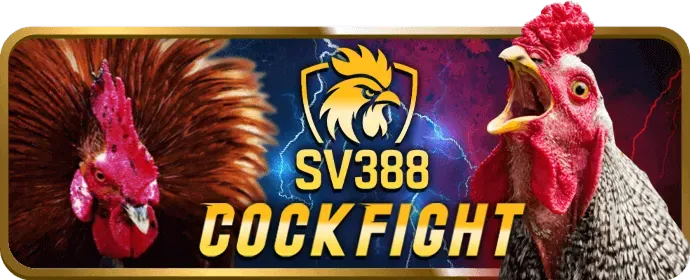 Hình ảnh minh họa các loại cookie khác nhau mà sv388link app sử dụng để cải thiện trải nghiệm người dùng